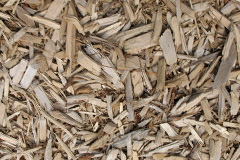 biomass boilers Treharris
